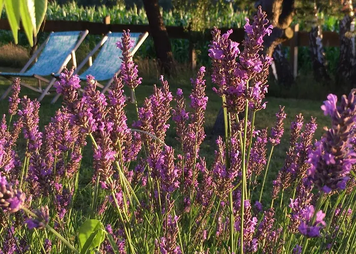 Appartement Sina Pruchten